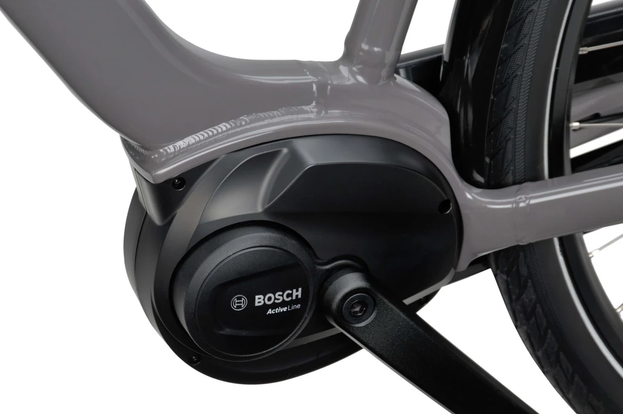 Batavus Altura E-go 2025