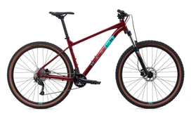 Marin Bobcat Trail 4 2022