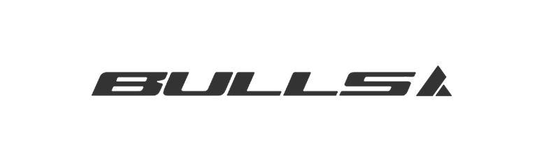 Bulls logo