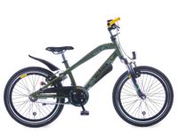 Trial 20 inch 2021