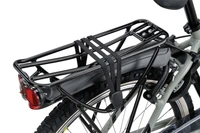 Batavus Snake 24 Inch 2025