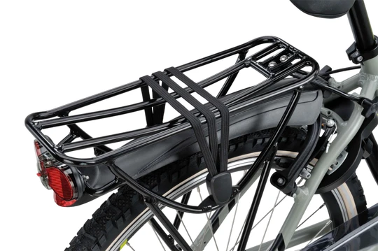 Batavus Snake 24 Inch 2025