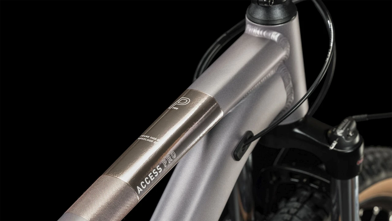 Cube Access WS Pro 2023