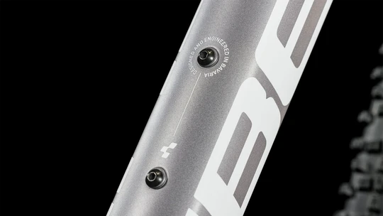 Cube Access WS Pro 2023