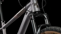 Cube Access WS Pro 2023