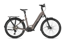 Entice 7.B Advance+ 2022