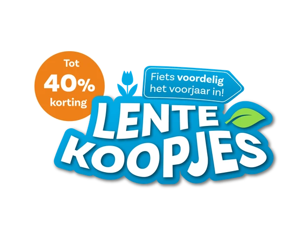 Fvs lente actiepagina