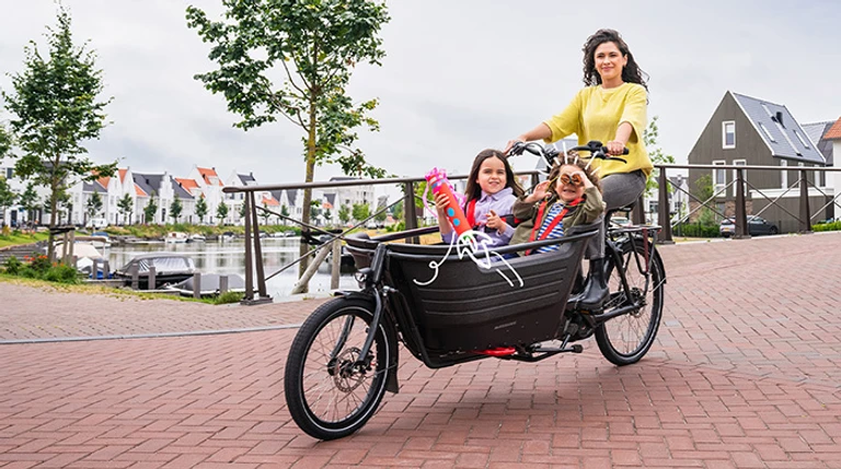 Batavus fier 2 overzichtsfoto