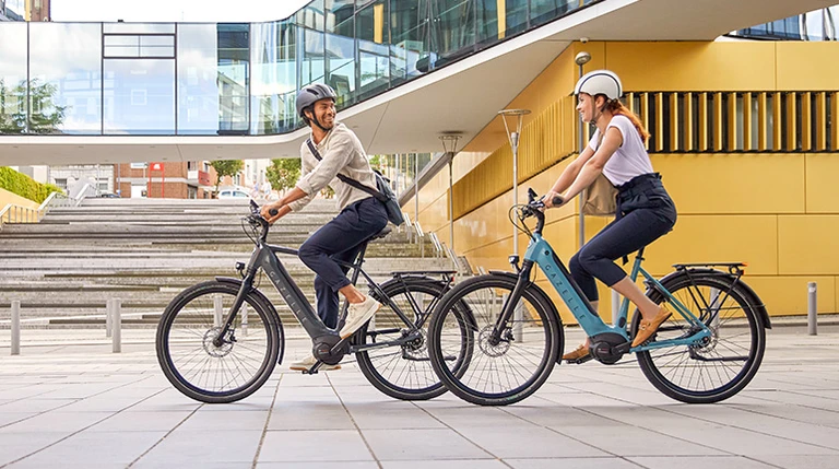 Gazelle overzichtsfoto