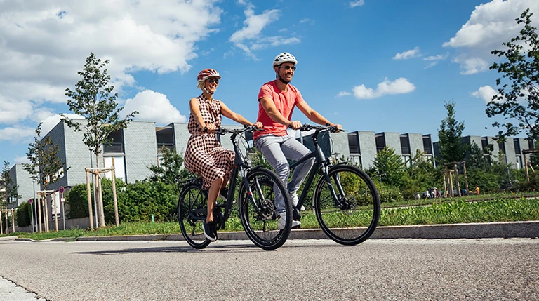 Hybride tips overzichtsfoto bf