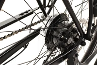 Trek FX+ 2 2023