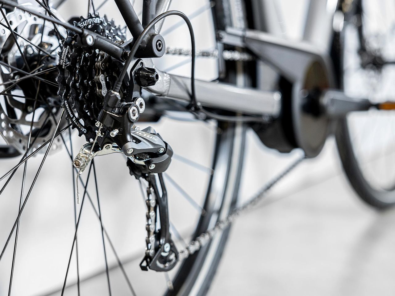 Trek Verve+ 1 2023