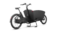 Medium family next2 black back lightson
