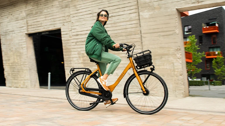 Fietstype overzichtsfoto