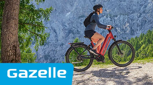 Vind de Gazelle e-bike die bij je past