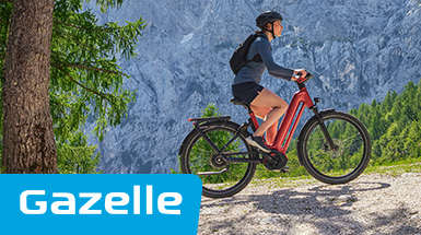 Vind de Gazelle e-bike die bij je past