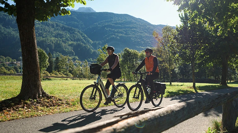 Hybride ebikes overzichtsfoto