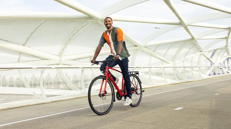 Hybride favorieten overzichtsfoto b