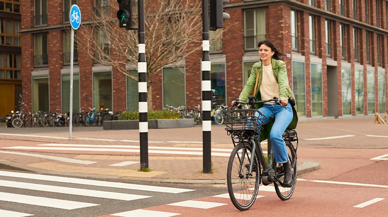 Stadsfietsen overzichtsfoto