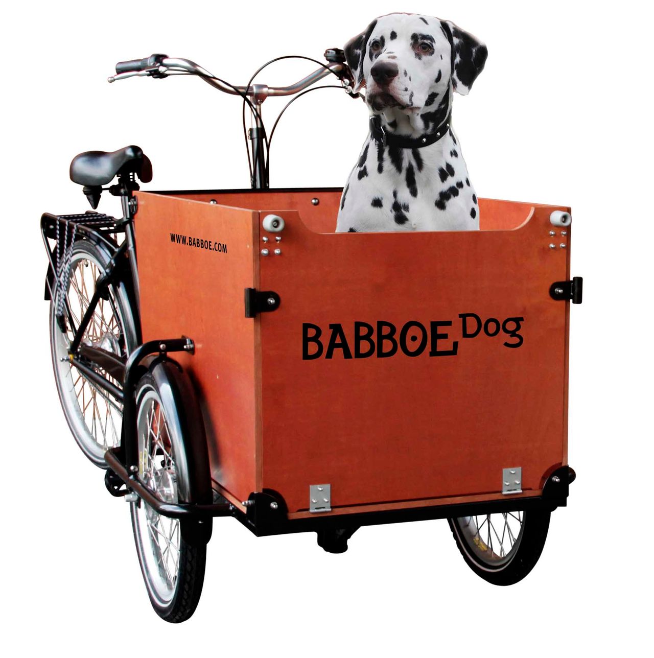 Babboe Dog