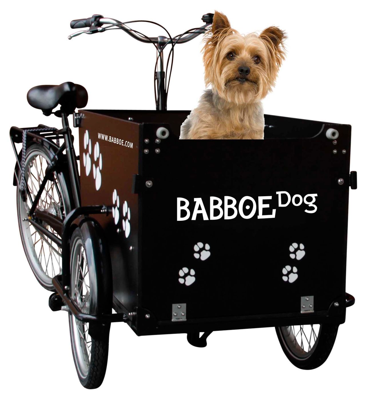 Babboe Dog