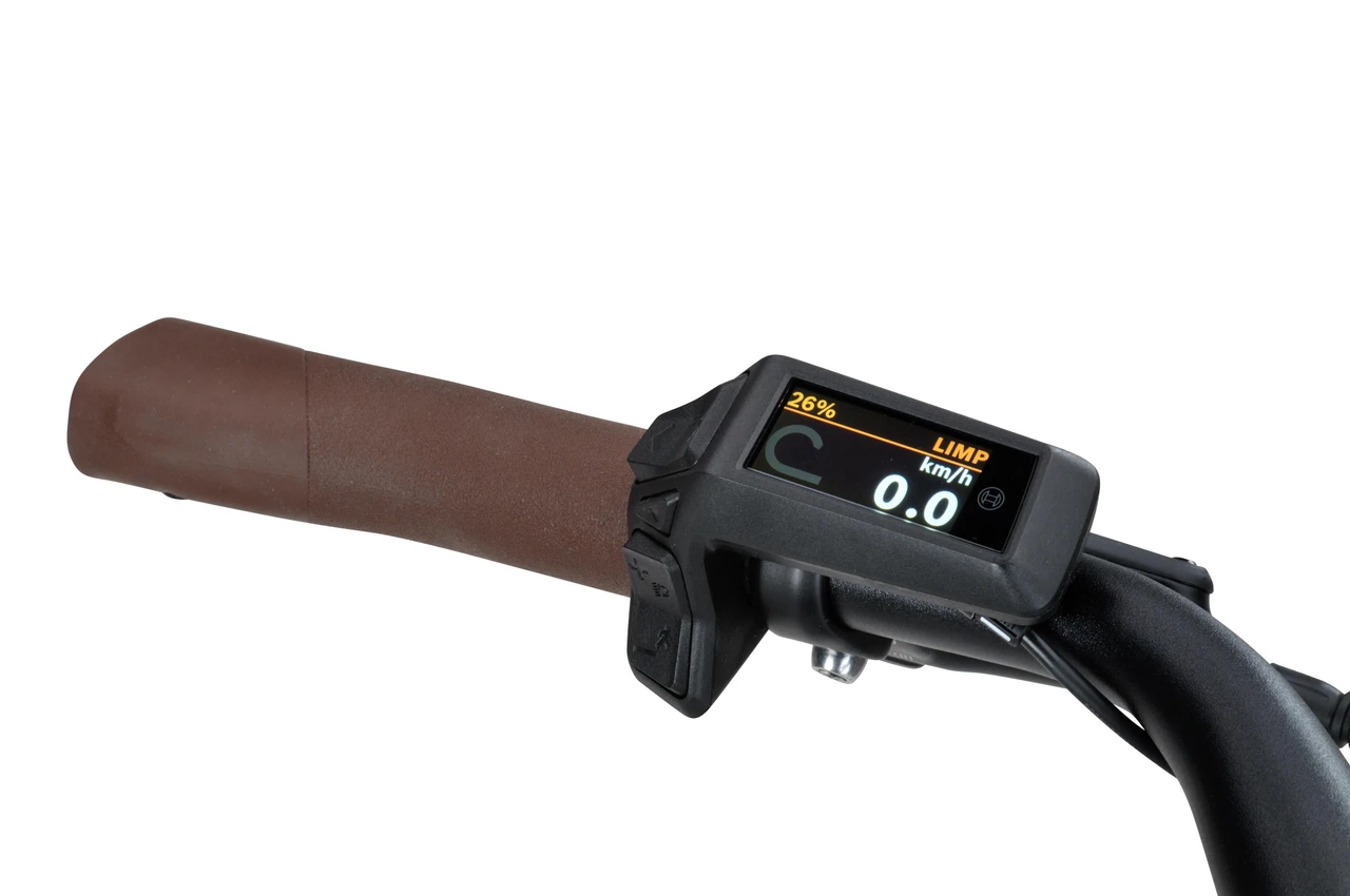 Batavus Altura E-go 2025