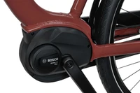 Batavus Altura E-go Plus 2025