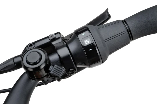 Batavus Altura E-go Power Pro 2023
