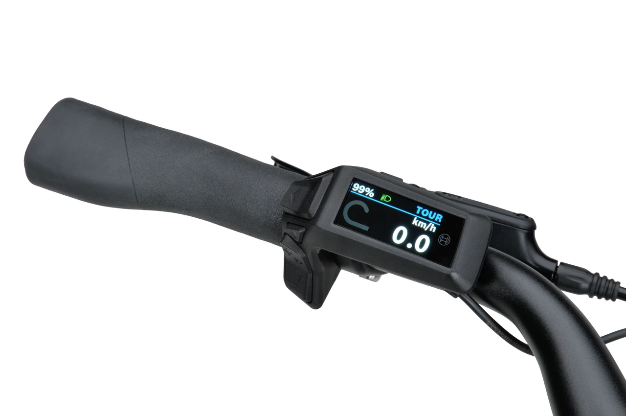 Batavus Altura E-go 2025