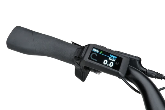 Batavus Altura E-go 2025