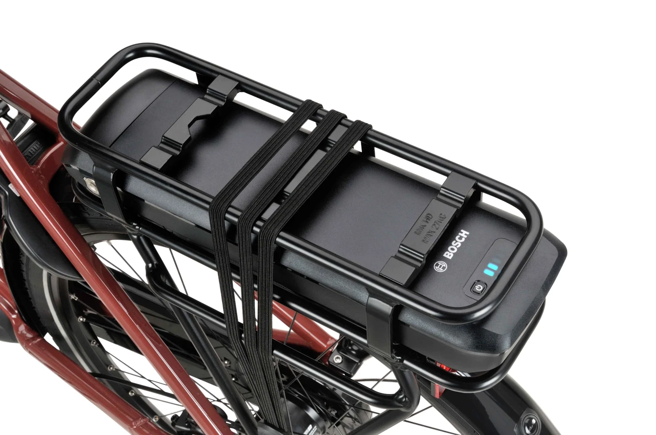 Batavus Altura E-go Plus 2025
