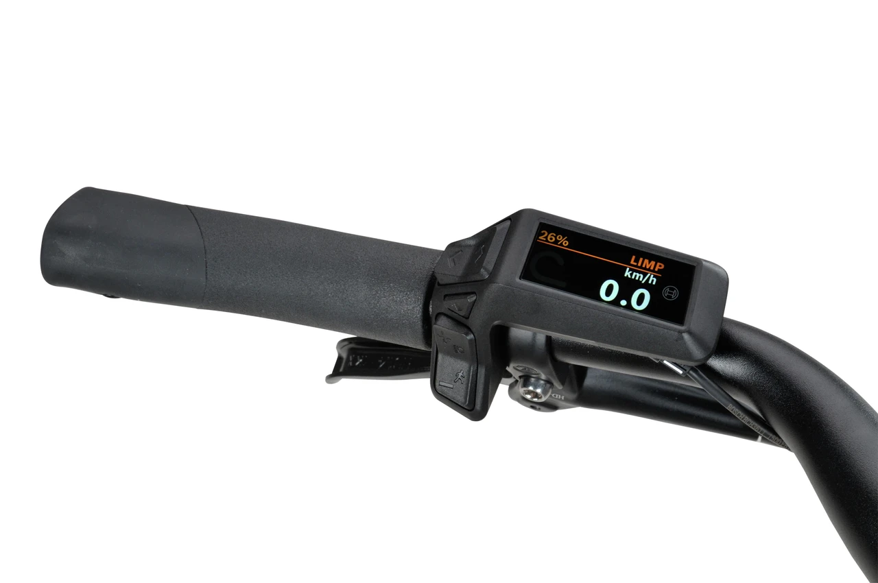 Batavus Altura E-go Plus 2025