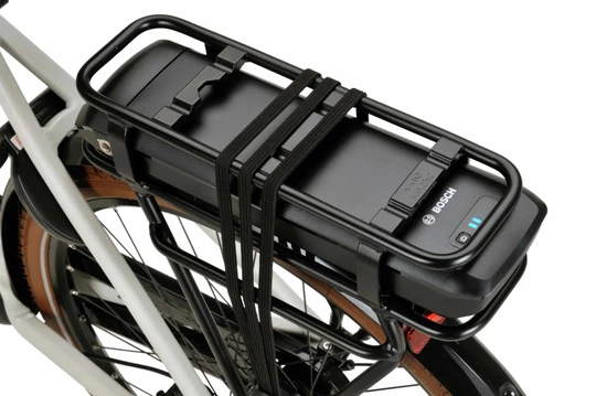 Batavus Altura E-go 2025