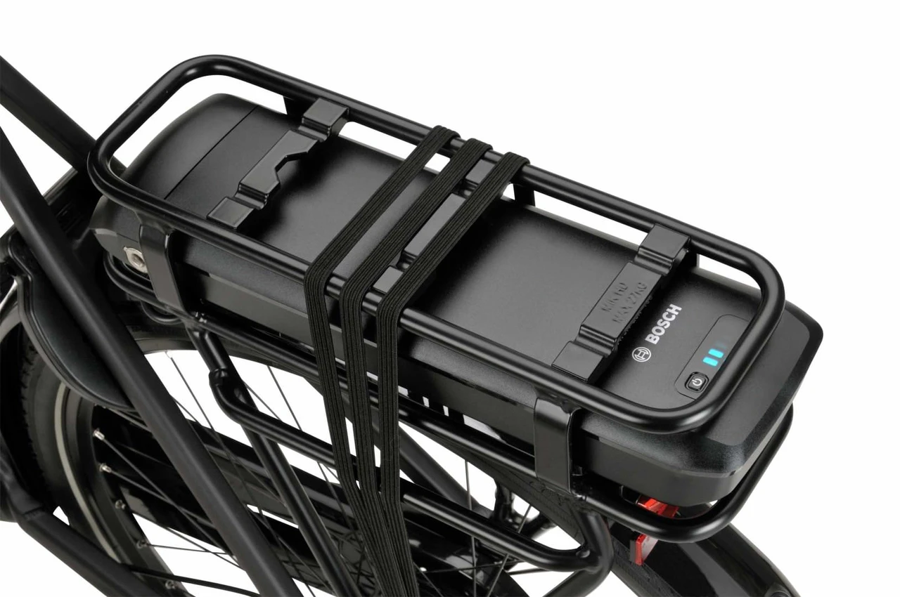 Batavus Altura E-go 2025