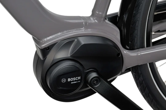 Batavus Altura E-go 2025