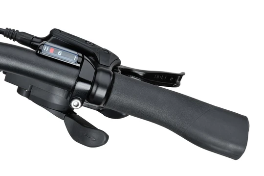 Batavus Dinsdag Exclusive Plus 2025