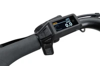 Batavus Altura E-go Power Smart 2025 - 500 Wh