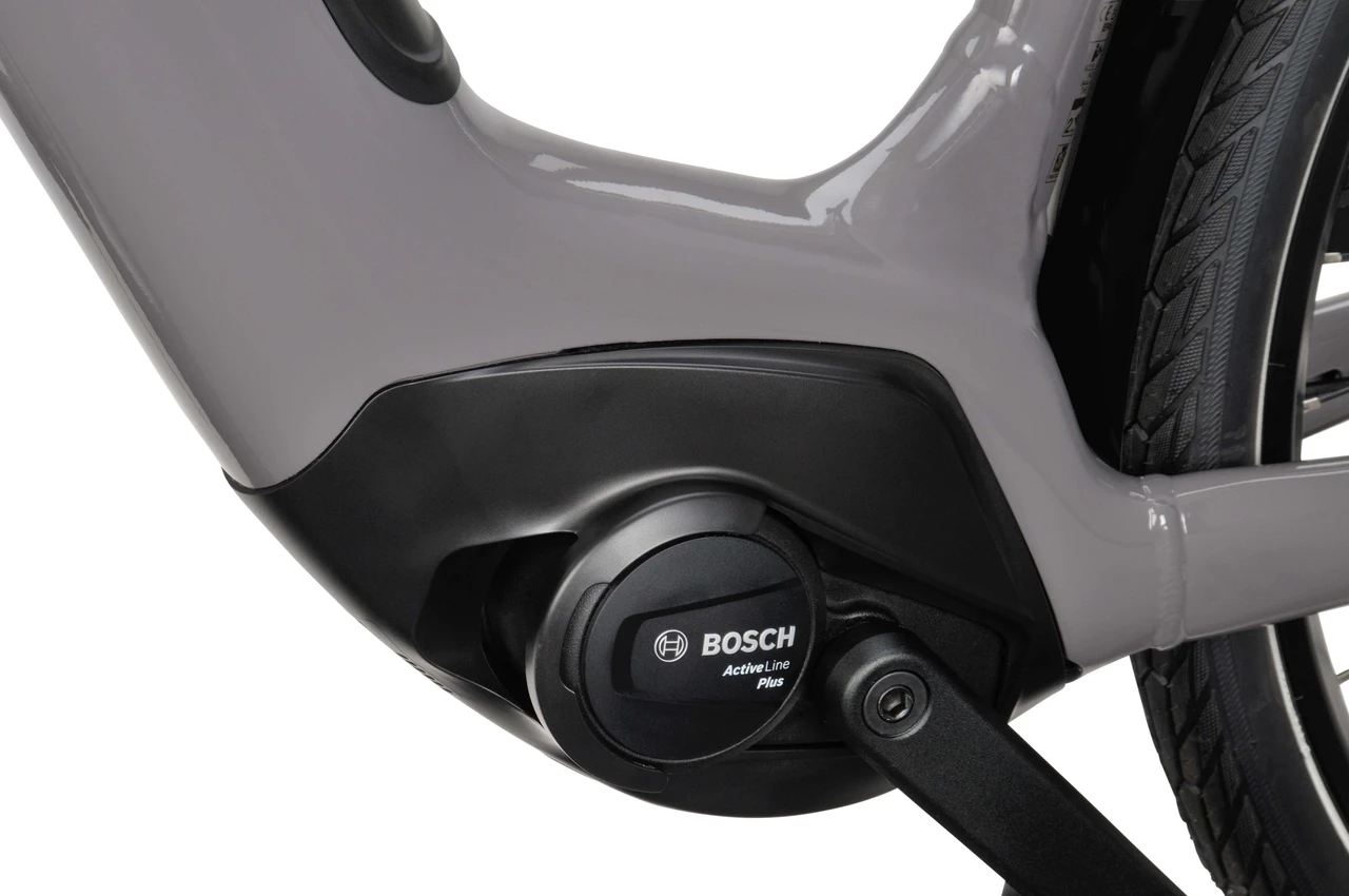 Batavus Altura E-go Power Smart 2024