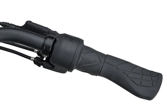 Batavus finez pt exclusive plus 2026 heren zwart mat batavus elektrische fietsen dynamo