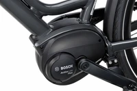 Batavus Dinsdag E-go Exclusive Classic 2023