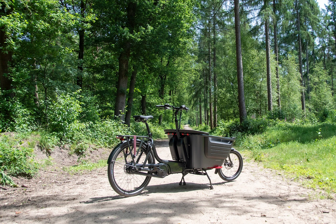 Batavus Fier 2 2025