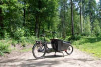 Batavus Fier 2 2025