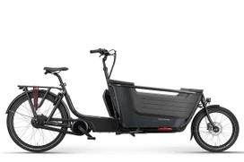 Batavus Fier 2 2025