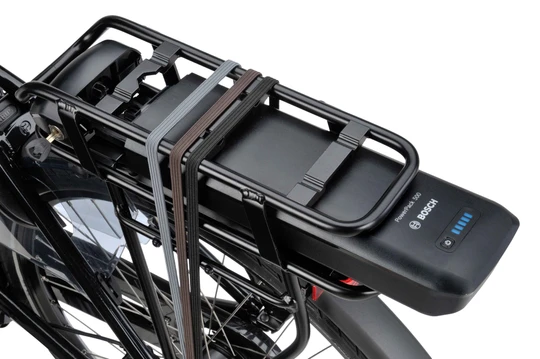 Batavus Finez E-go Active Plus Smart 2025