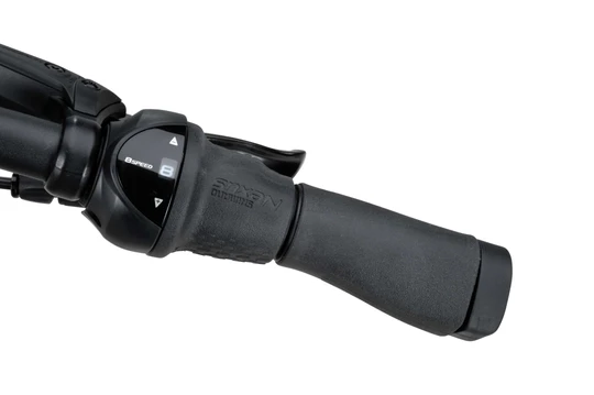 Batavus Finez E-go Active Plus Smart 2025