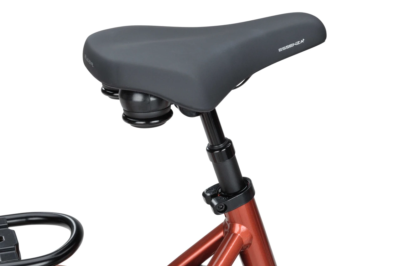 Batavus Finez E-go Power Exclusive Smart 2025