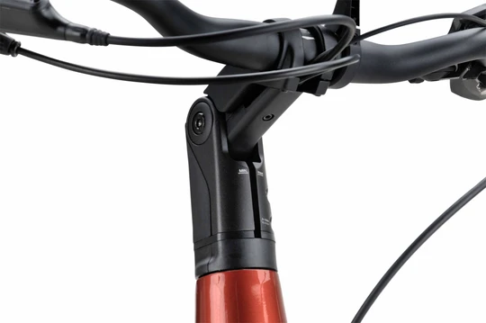 Batavus Finez E-go Power Exclusive Smart 2025