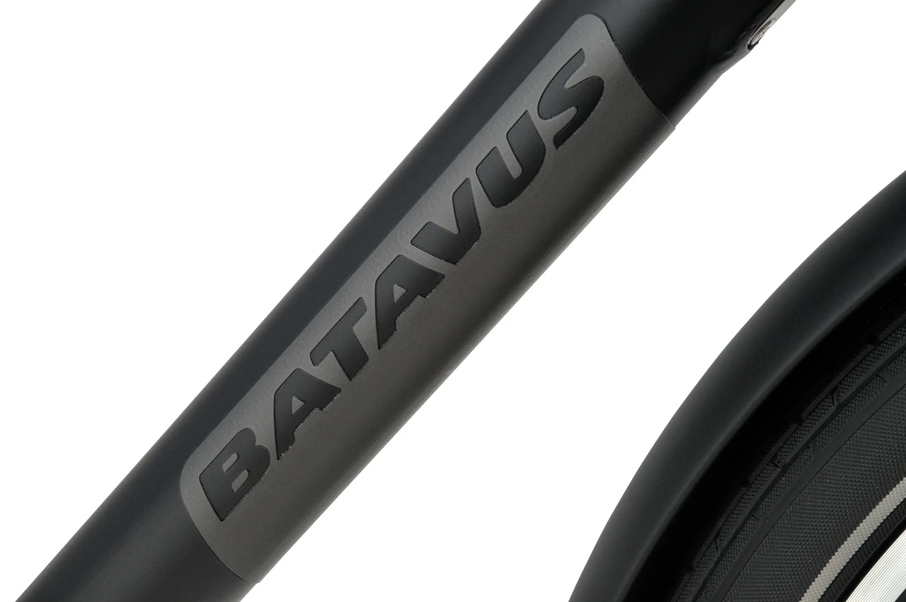Batavus PACKD E-Go 2023