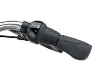 Batavus PACKD E-Go 2023