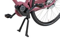 PACKD E-Go Plus 2023